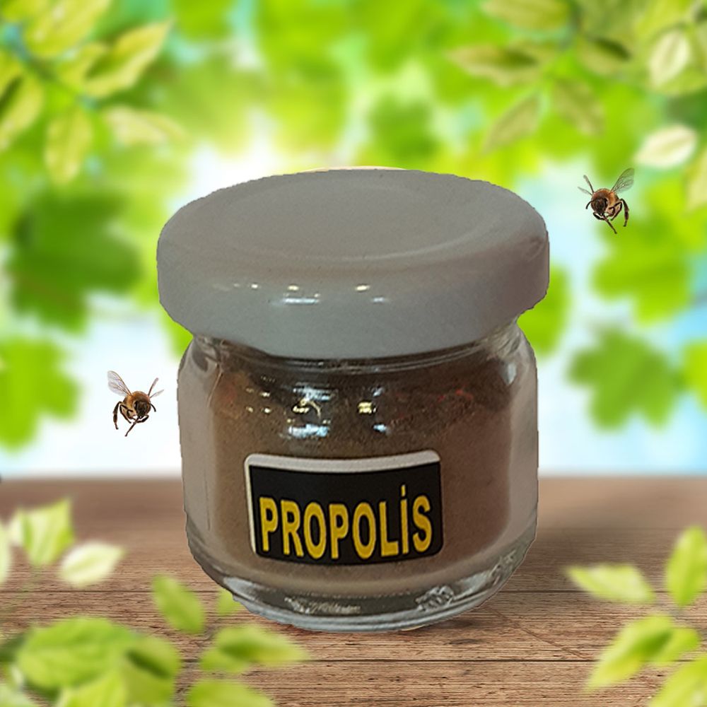 Propolis Tozu 10gr